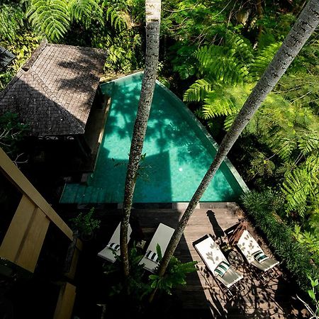 Villa Naga Putih Ubud  Exterior photo