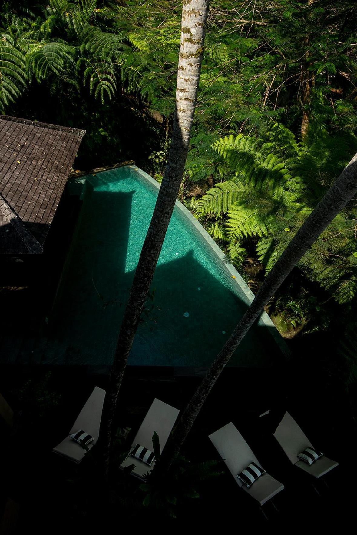 Villa Naga Putih Ubud  Exterior photo