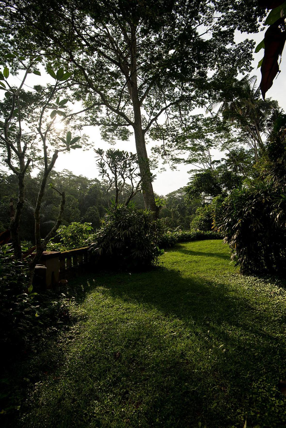 Villa Naga Putih Ubud  Exterior photo