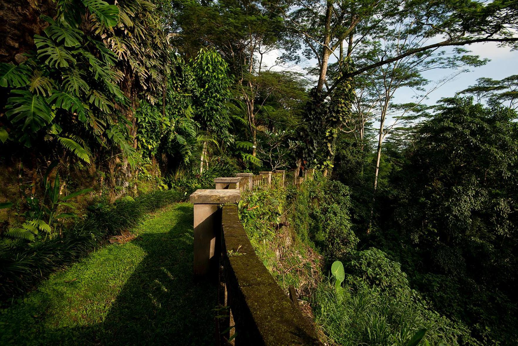 Villa Naga Putih Ubud  Exterior photo