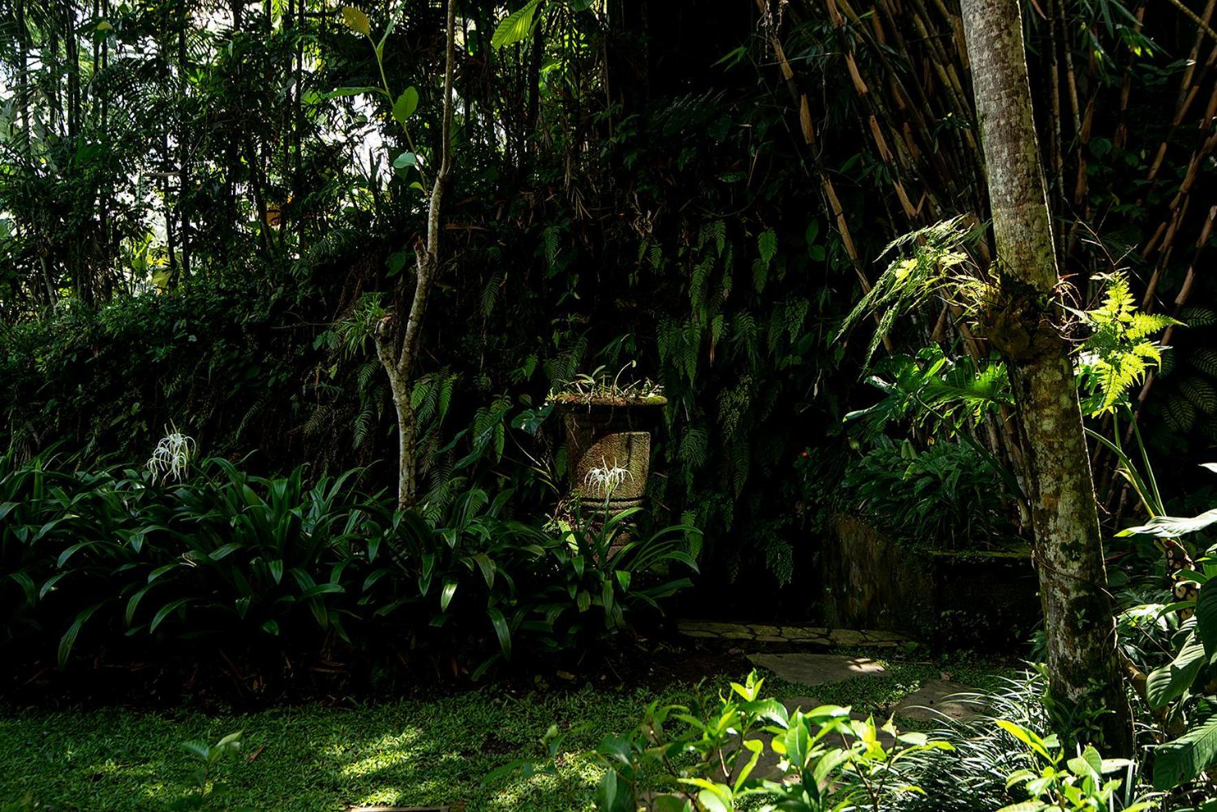 Villa Naga Putih Ubud  Exterior photo