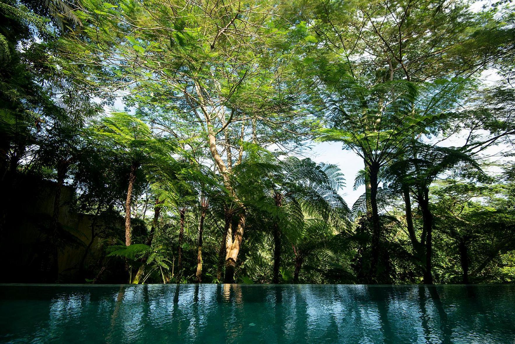 Villa Naga Putih Ubud  Exterior photo